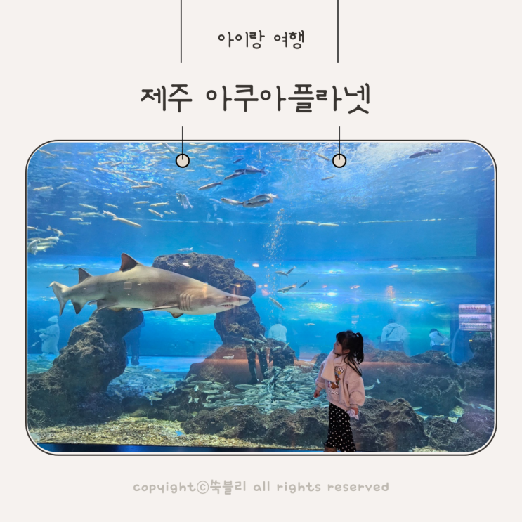 제주 아쿠아리움 아쿠아플라넷 공연시간 오션아레나 아이랑 여행