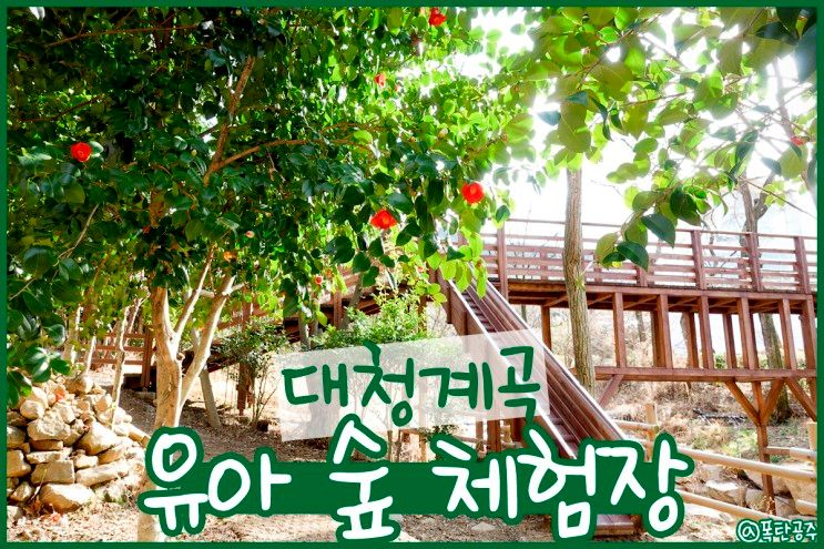 대청 유아숲체험원 김해 아이와 가볼만한곳 대청계곡 유아숲 체험