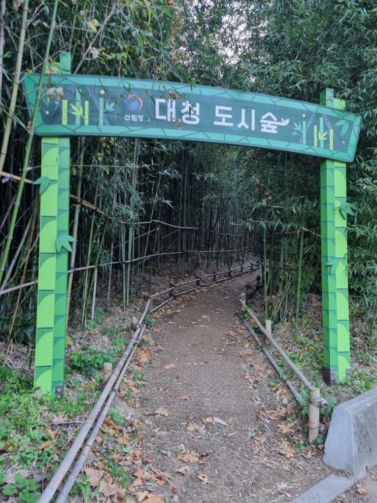 [김해 아이랑 가볼 만한 곳] 대청 유아숲 체험원