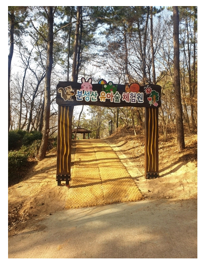 김해시 분성산에 유아숲체험원    추가 조성