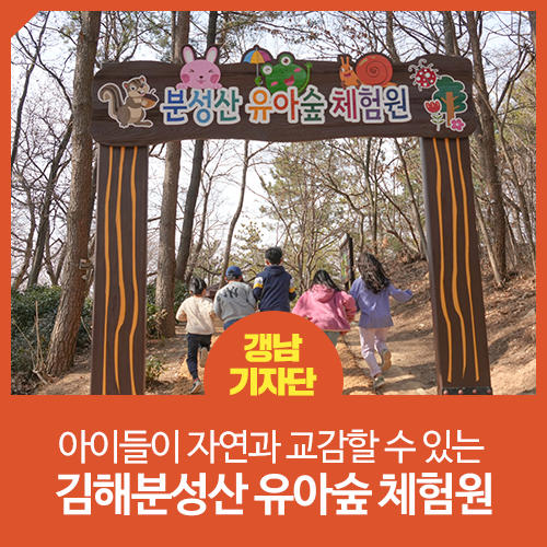 [경남 김해 / 김해 랜선 여행] 아이들이 자연과 교감할 수 있는 김해 분성산 유아숲 체험원