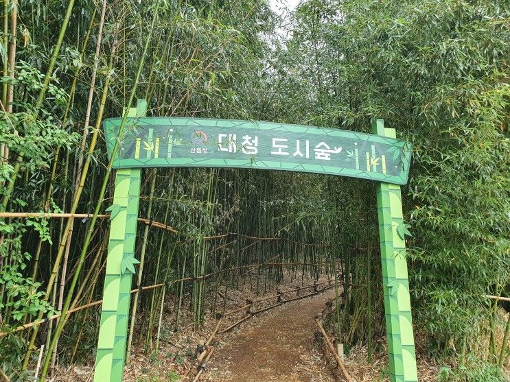 김해 장유 대청유아숲체험원 대청도시숲 대나무숲