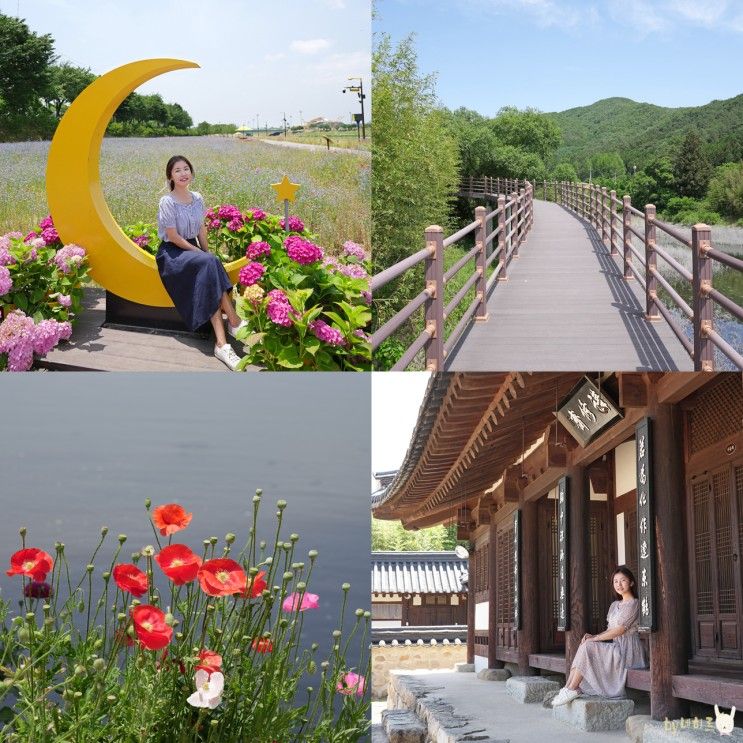 장성 가볼만한곳 황룡강 생태공원, 축령산 편백치유의숲 여행