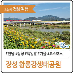 [전남 여행] 장성 황룡강생태공원에서 가을정취 느끼보기