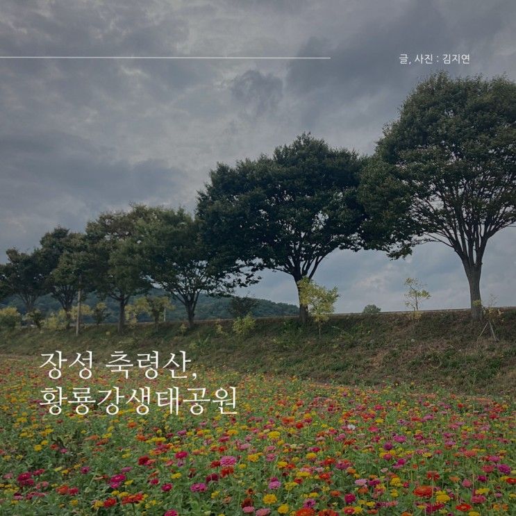 [전남 여행]장성 가 볼만한 곳-축령산, 황룡강생태공원