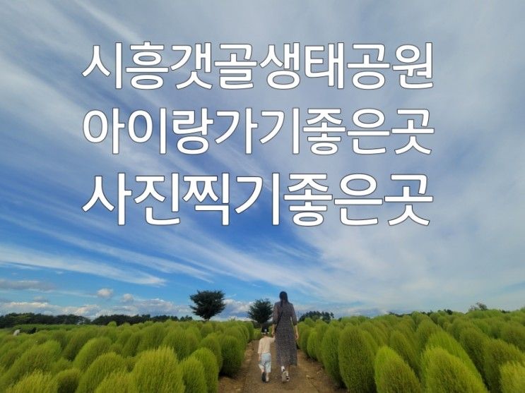 시흥 갯골생태공원 / 아이랑 갈만한곳 포토존 텐트가능공원
