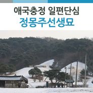 육룡이나르샤 정몽주선생묘 방문기