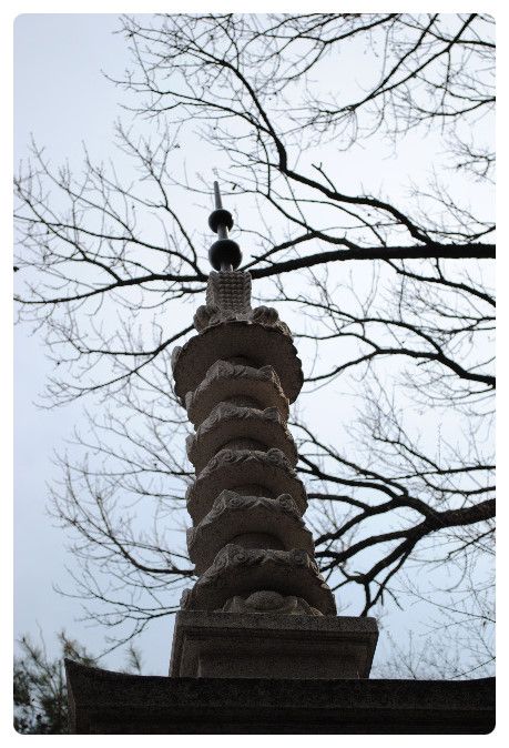 쑥 캐러 가서 만난 강화 정수사 (淨水寺)