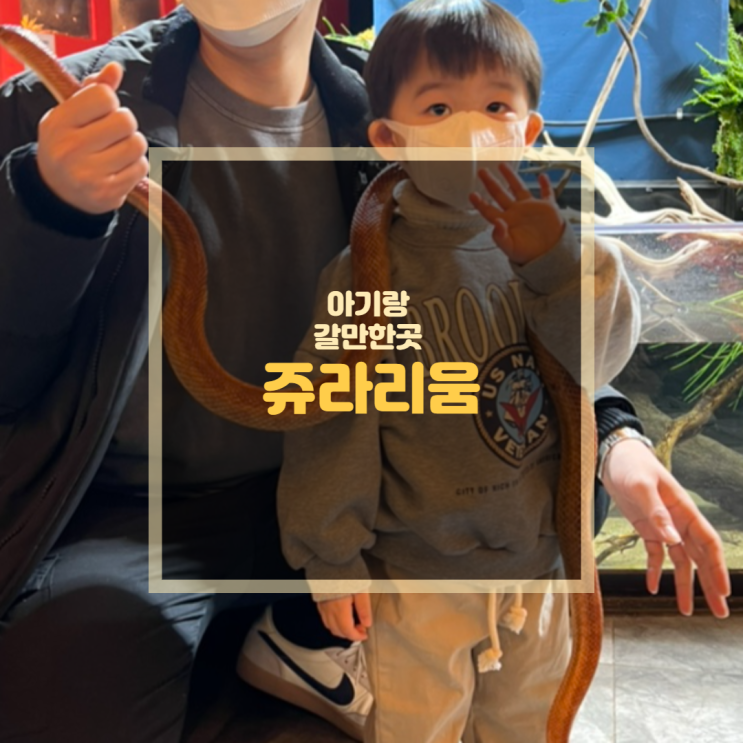 [육아일기] 아기랑갈만한곳 하남나들이 서울근교 갈만한곳 실내동물원 쥬라리움