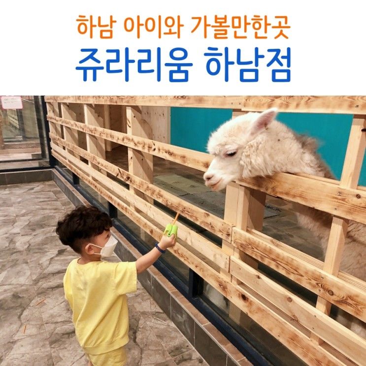 하남 쥬라리움 아이와 가볼만한곳 (실내동물원 & 키즈카페)