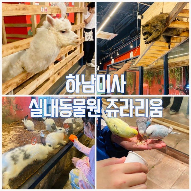 [경기도 하남] 하남 미사 어린이 동물원 쥬라리움
