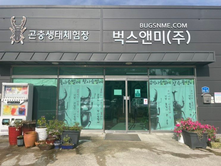 충남 서산 무료 곤충/파충류/동물 생태 체험장 [벅스앤미] 추천 !