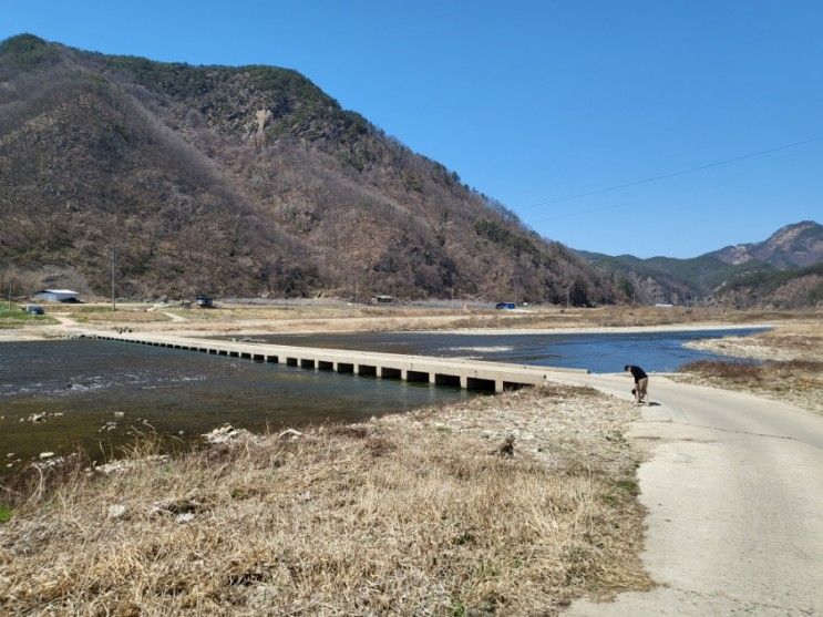 4살아이와 봄여행지 추천 벚꽃 무주(반디랜드, 서면마을, 금강)