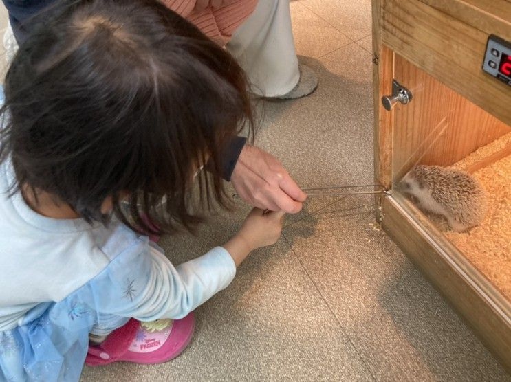 [서산여행] 아이와 함께 가기 좋은 곤충생태체험장 벅스앤미