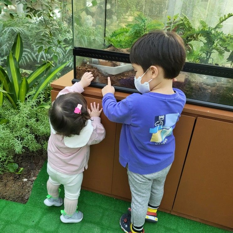 주말엔 집 근처 미니 식물원에서!: 상동호수공원 수피아