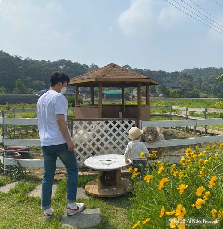 서산 벅스앤미 동물 먹이체험 아이랑 가볼만한곳