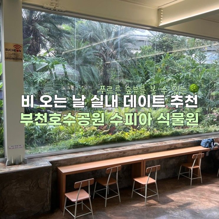 경기도 부천 가볼만한곳 상동호수공원 식물원 수피아...