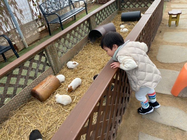 곤충체험(파충류 관찰),동물먹이주기/서산 벅스앤미...