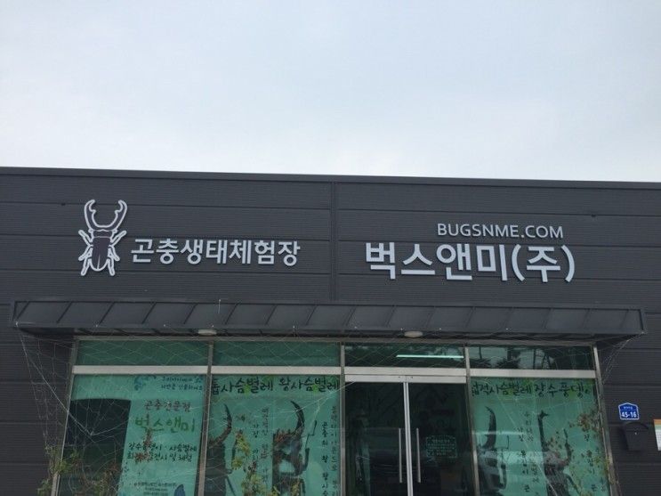 서산) 서산 벅스앤미 ㅡ 곤충생태체험장