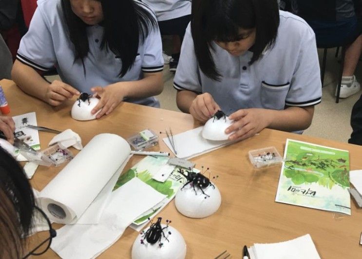 벅스앤미 곤충표본교육 ㅡ 서산음암중학교