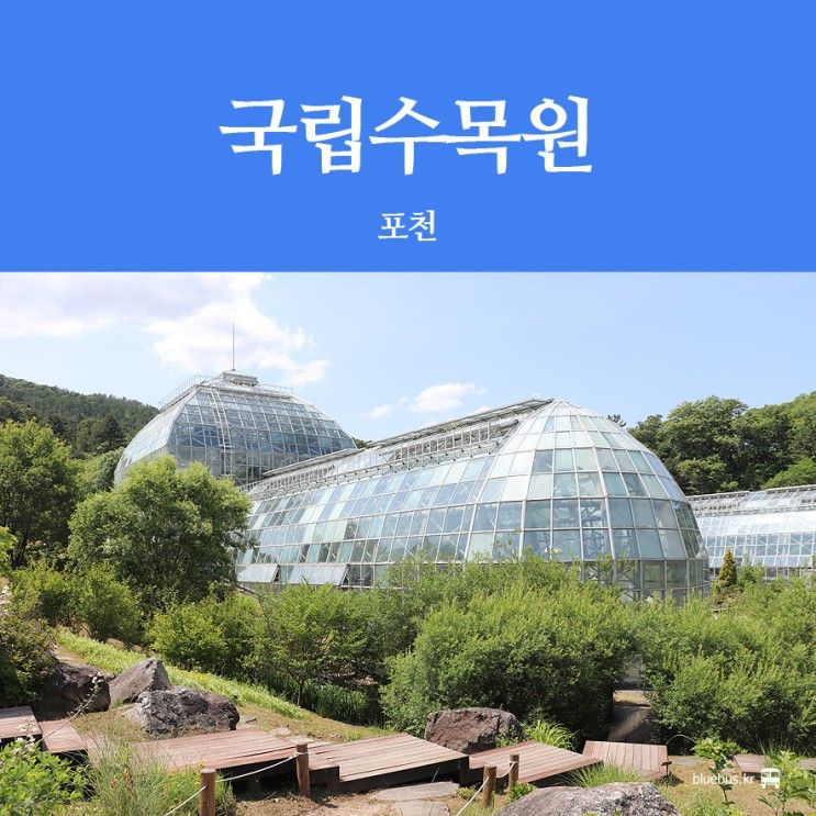 [포천 가볼만한곳] 서울 근교 국립수목원 주차 예약 팁