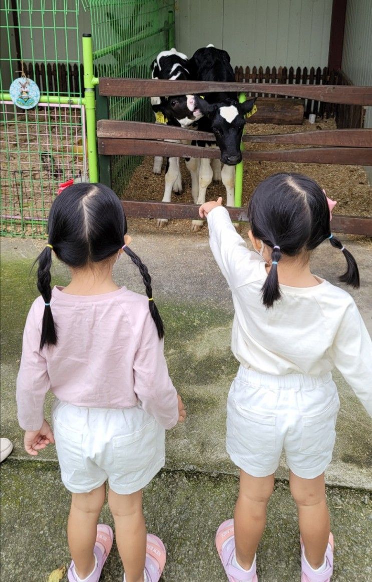 [210905] 후사랑 밀크 (환희 목장)에서 여러 체험하며 지낸...