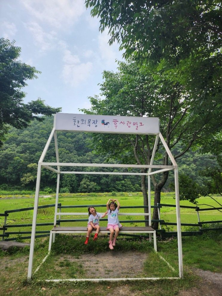 피자만들기, 물놀이까지 초록초록한 '환희목장 후사랑밀크' 후기