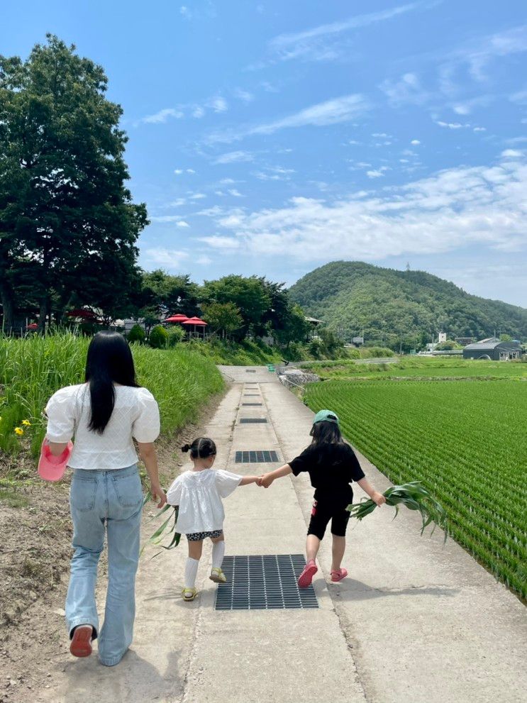 울산 울주군 피자만들기 목장체험 '환희목장 후사랑밀크'