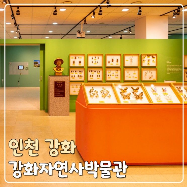 인천 강화자연사박물관  강화도 아이와 가볼만한곳