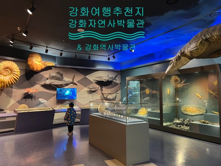 함께 강화 가볼만한곳 / 강화자연사박물관 & 강화역사박물관