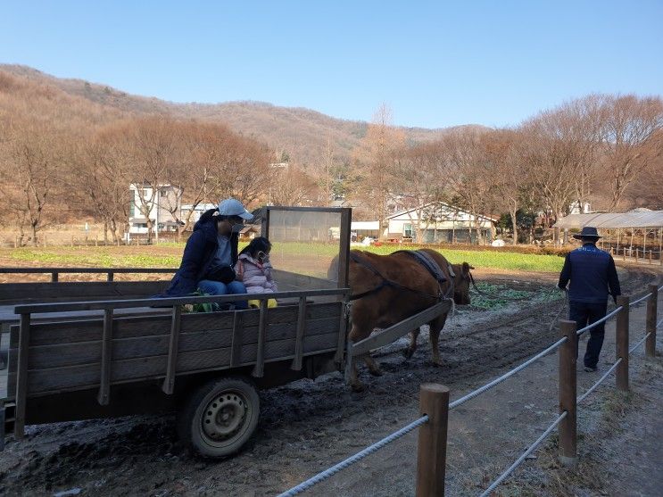 간만에 따듯한 겨울날씨: 한터농원 체험