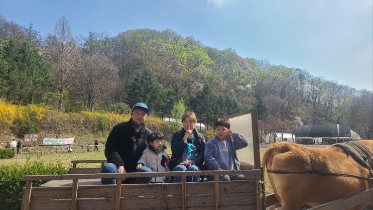 용인한터농원/한터조랑말농장 아이들과 가볼만한 곳/동물먹기...