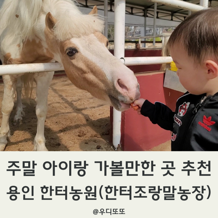 용인 동물체험 농장 한터농원 한터조랑말농장 이용요금 시간