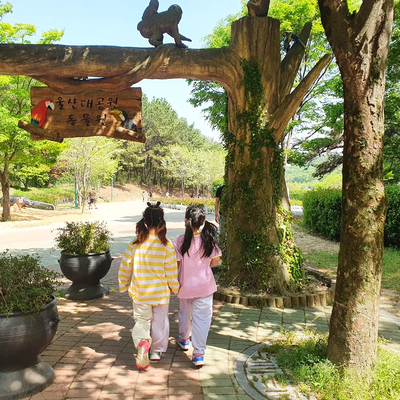 [울산 아이와 가볼만한 곳] 5월, 비클래시랑 울산 장미축제 참가하고 대왕별 아이누리 고래생태체험관에서 신나게 놀아보자 !