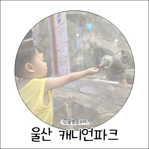 울산 아기랑 갈만한곳 동물먹이체험 실내동물원 캐니언파크 후기