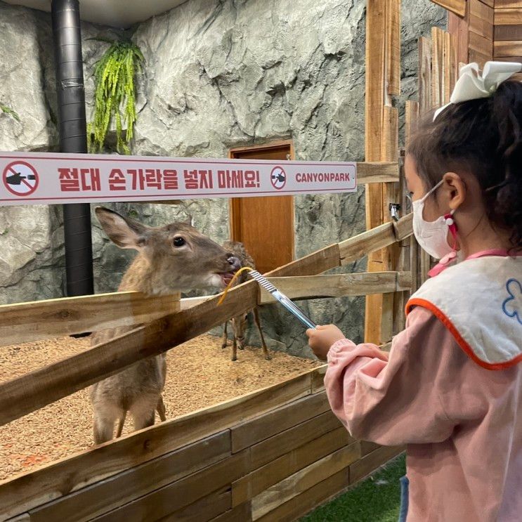 울산 실내동물원 키즈카페 캐니언파크 대망의 오픈!