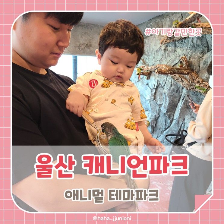 [아기랑 갈만한 곳] 울산 캐니언파크:) 17개월 아기랑 성남동...
