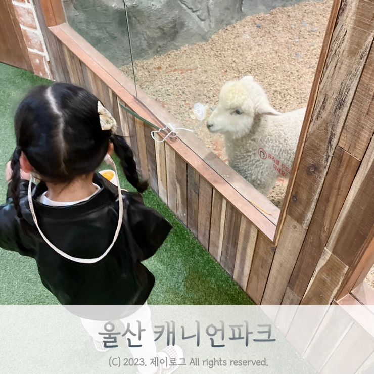 울산 성남동 실내동물원 캐니언파크 방문후기