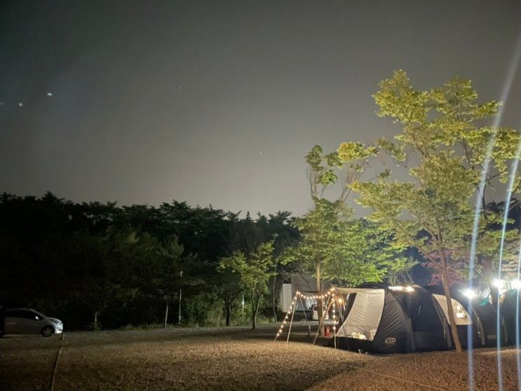 * 파주 자유로캠핑장/신생캠핑장/깔끔캠핑장...