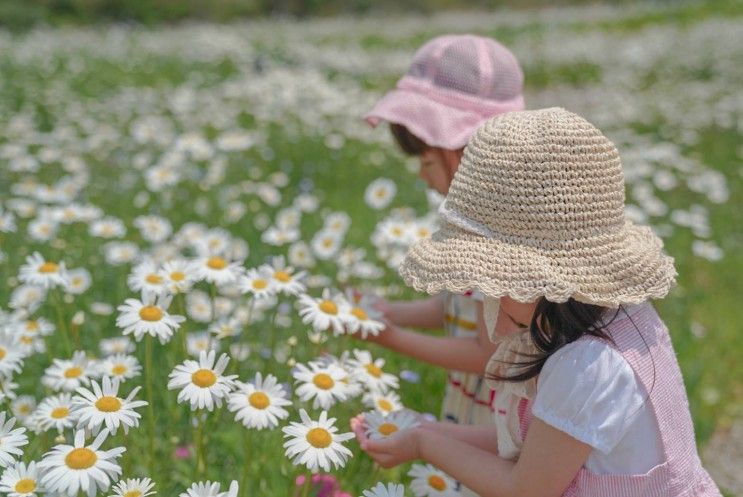 경기도 화성 아이와가볼만한곳 15곳