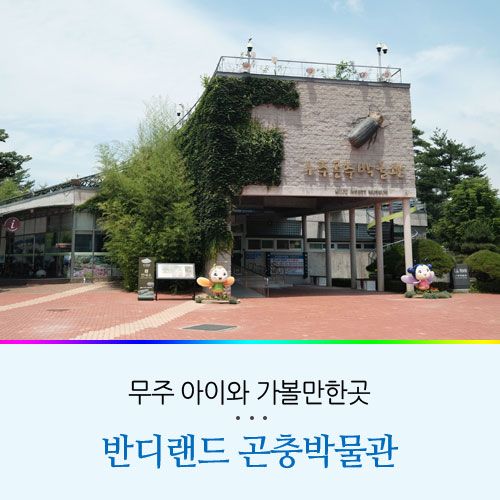 무주 반디랜드 아이와 가볼만한곳 곤충박물관 / 놀이터 / 미니...