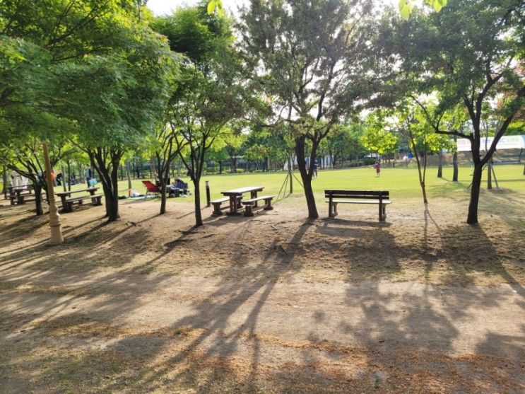 인천환경공단 청라생태공원 주말 나들이 피크닉 하기 좋은 공원