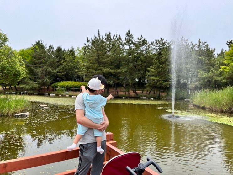 청라생태공원 청라 갈만한 곳 인천 아기랑 돗자리 가능한 공원