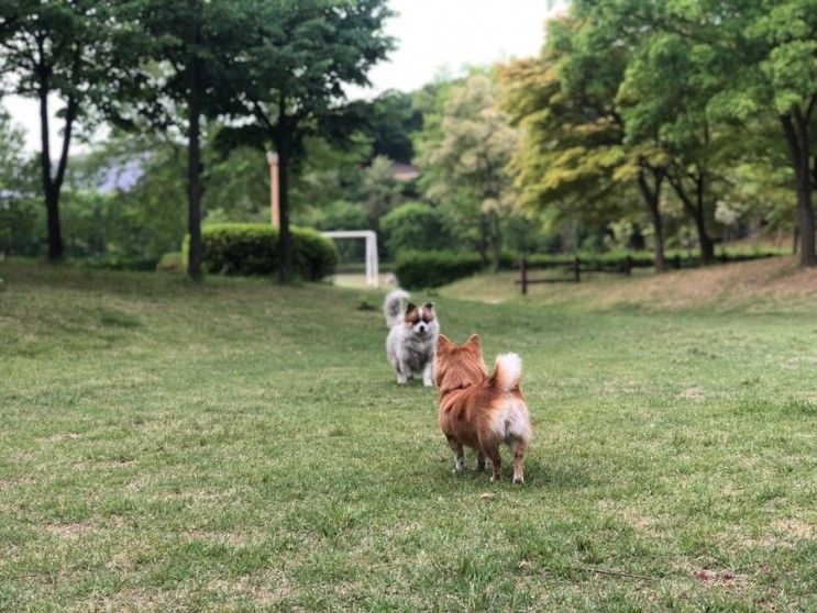 인천환경공단 청라생태공원 피크닉