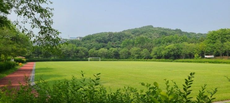 아이들과 가볼만한 곳, 인천 청라지구생태공원