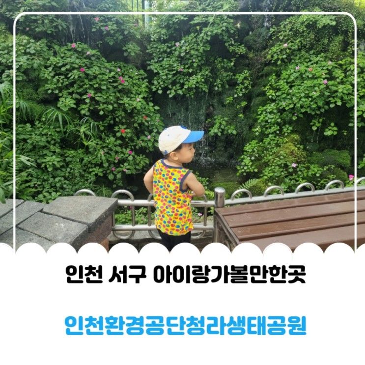 인천 서구 청라 아이랑가볼만한곳 인천환경공단청라생태공원...