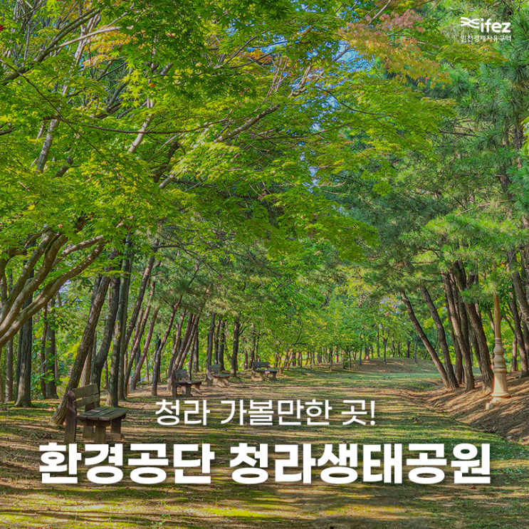 인천 청라 가볼 만한 곳 환경공단 청라생태공원
