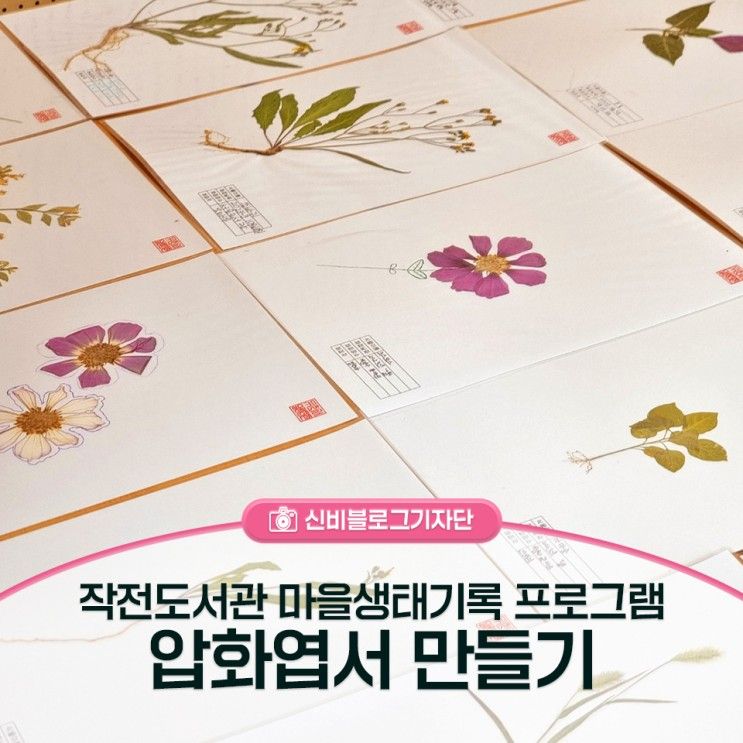 작전도서관 마을생태기록 프로그램, 압화엽서 만들기