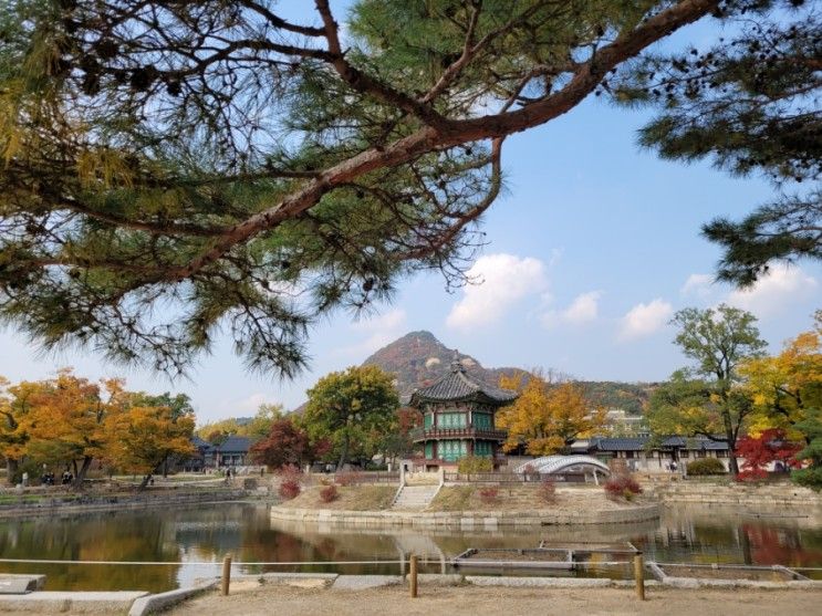 경복궁에서 조선의 역사 되짚어보기