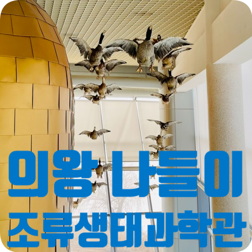 아이와 가볼만한 곳_의왕조류생태과학관 할인정보+장원면옥...